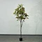 decorative trees indoor